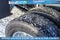 2024 Ford F-450SD Platinum DRW